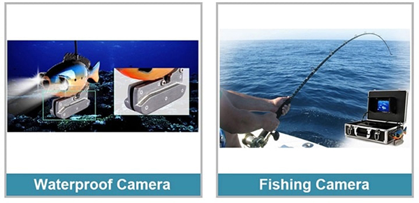 Bộ camera dưới nước hình con cá TP801