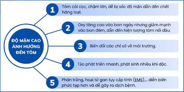 Ảnh hưởng của độ mặn đối với sự phát triển của tôm thẻ 