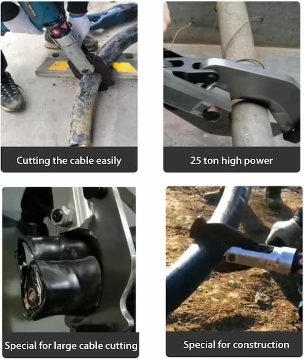 EZ-65C phù hợp với nhiều đối tượng sử dụng khác nhau