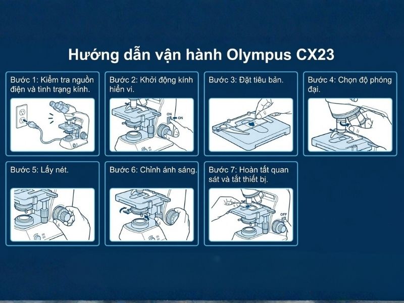 Cách sử dụng kính hiển vi Olympus CX23