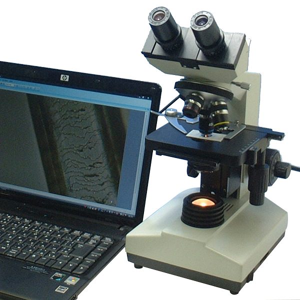 Đèn Led và đèn Halogen là một phần không thể thiếu của bất kỳ thiết bị kính hiển vi nào
