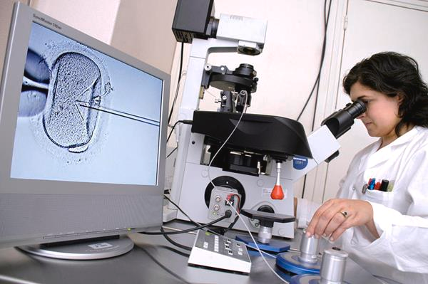 Kính hiển vi điện tử SEM được ứng dụng vô cùng rộng rãi trong phòng thí nghiệm