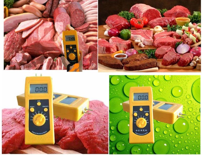 DM300R đo độ ẩm của các loại thịt