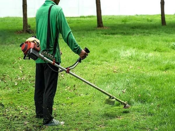 cách sử dụng máy cắt cỏ an toàn