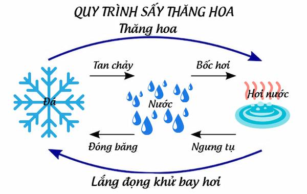 Quy trình sấy thăng hoa