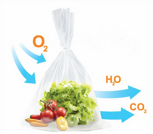 Bảo quản thực phẩm nhờ khí Oxy