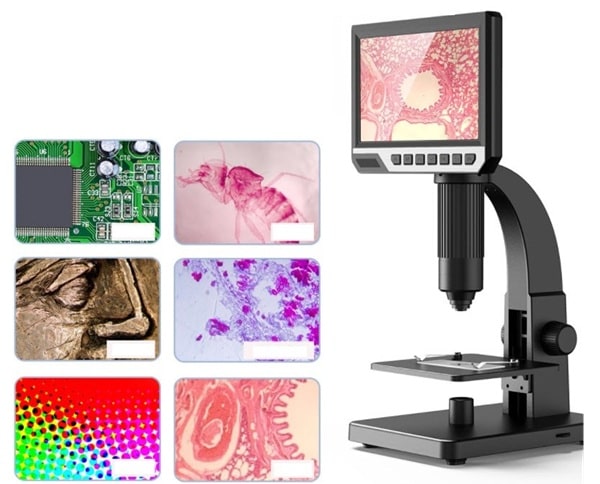 Kính hiển vi có màn hình giúp quan sát mẫu vật dễ dàng