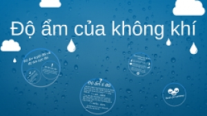 Độ ẩm không khí là gì? Ảnh hưởng của độ ẩm không khí tới cuộc sống