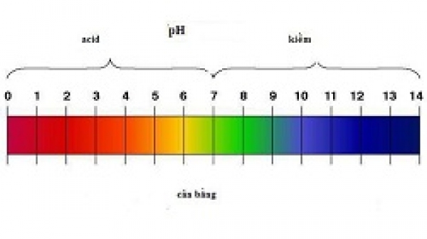Tìm hiểu về độ pH hay độ chua, độ kiềm