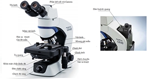 Cấu tạo kính hiển vi và nguyên lý hoạt động