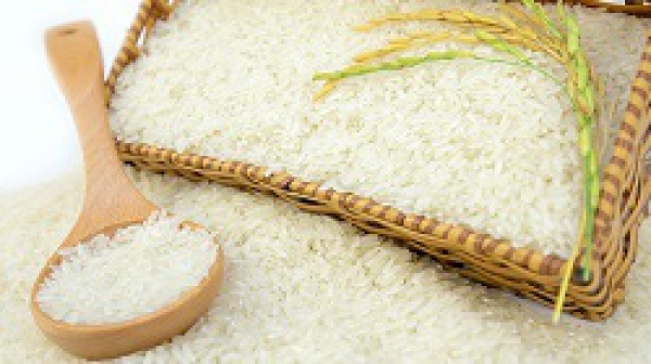 Độ ẩm thích hợp để bảo quản thóc gạo lâu năm là bao nhiêu?