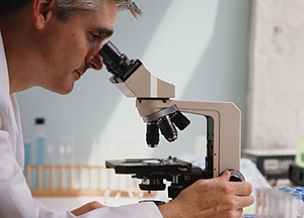 Soi kính hiển vi có hại mắt không? Cách chống mỏi mắt khi dùng kính hiển vi