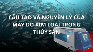 Cấu tạo máy dò kim loại trong thủy sản, nguyên lý và ứng dụng