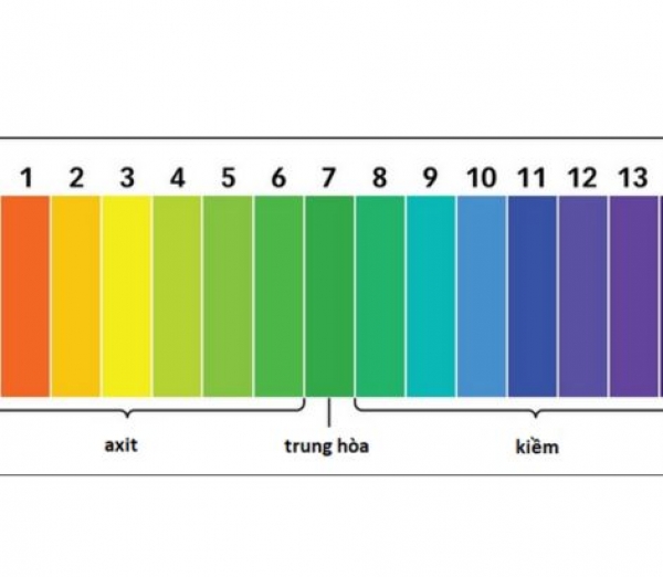 Độ pH của nước là gì? Độ pH của nước uống bao nhiêu là tốt?