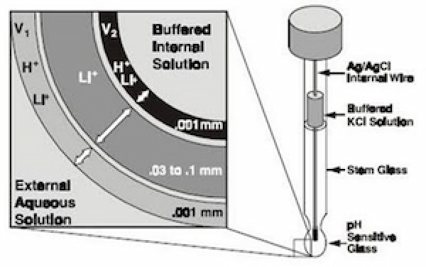 Máy đo pH có cấu tạo và nguyên lý hoạt động như thế nào?