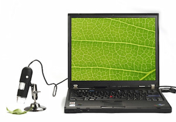 Gợi ý 4 kính hiển vi 100x chất lượng cao, nên mua hiện nay