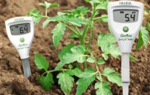 Bút đo pH đất loại nào tốt và xứng đáng đầu tư nhất hiện nay?