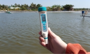 Bút đo độ mặn và nhiệt độ Extech EC170 giá bao nhiêu? Có nên mua không?