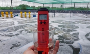 Gợi ý nên mua khúc xạ kế đo độ mặn nào để đo nhanh và chuẩn xác?