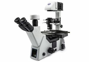 Kính hiển vi soi ngược: Đặc điểm, cấu tạo và ứng dụng