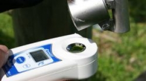 Độ Brix là gì? Công thức tính và cách đo độ ngọt chuẩn xác